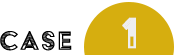 case1